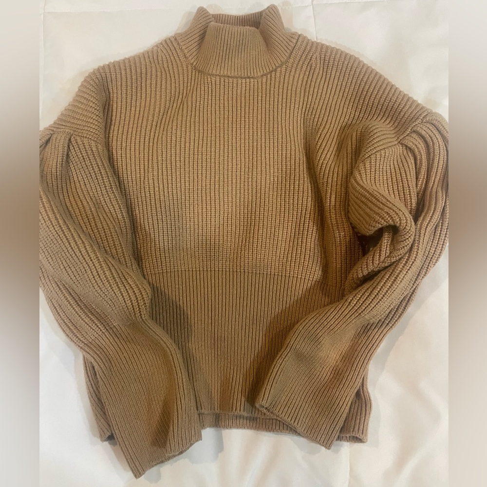 EXPRESS Cropped Brown Turtleneck